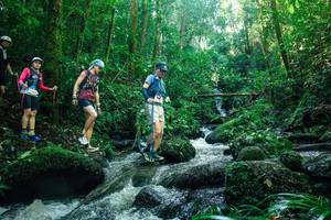 BIB: 
                            <button type="button" onclick="openModal(26780708)" class="btn btn-primary btn-sm float-right btn-popup" data-toggle="modal" data-target=".modal-high-quality">
                        <i class="fas fa-shopping-cart"></i> Add to Cart
                    </button>
                                            <button type="button" onclick="isThisMe(26780708, true)" class="btn btn-success btn-sm float-right btn-popup btn-isme hidden" data-toggle="tooltip" data-placement="bottom" title="นี่คือรูปของคุณใช่ไหม คลิกที่นี่เพื่อเอาเข้าอัลบั้ม">
                        <i class="fas fa-plus"></i> Add to album
                    </button>
                    <button type="button" onclick="isThisMe(26780708, false)" class="btn btn-warning btn-sm float-right btn-popup btn-isnotme hidden">
                        <i class="fas fa-ban"></i> Remove from album
                    </button>