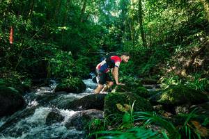 BIB: 
                            <button type="button" onclick="openModal(26696495)" class="btn btn-primary btn-sm float-right btn-popup" data-toggle="modal" data-target=".modal-high-quality">
                        <i class="fas fa-shopping-cart"></i> Add to Cart
                    </button>
                                            <button type="button" onclick="isThisMe(26696495, true)" class="btn btn-success btn-sm float-right btn-popup btn-isme hidden" data-toggle="tooltip" data-placement="bottom" title="นี่คือรูปของคุณใช่ไหม คลิกที่นี่เพื่อเอาเข้าอัลบั้ม">
                        <i class="fas fa-plus"></i> Add to album
                    </button>
                    <button type="button" onclick="isThisMe(26696495, false)" class="btn btn-warning btn-sm float-right btn-popup btn-isnotme hidden">
                        <i class="fas fa-ban"></i> Remove from album
                    </button>