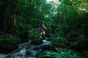 BIB: 
                            <button type="button" onclick="openModal(26774009)" class="btn btn-primary btn-sm float-right btn-popup" data-toggle="modal" data-target=".modal-high-quality">
                        <i class="fas fa-shopping-cart"></i> Add to Cart
                    </button>
                                            <button type="button" onclick="isThisMe(26774009, true)" class="btn btn-success btn-sm float-right btn-popup btn-isme hidden" data-toggle="tooltip" data-placement="bottom" title="นี่คือรูปของคุณใช่ไหม คลิกที่นี่เพื่อเอาเข้าอัลบั้ม">
                        <i class="fas fa-plus"></i> Add to album
                    </button>
                    <button type="button" onclick="isThisMe(26774009, false)" class="btn btn-warning btn-sm float-right btn-popup btn-isnotme hidden">
                        <i class="fas fa-ban"></i> Remove from album
                    </button>