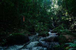 BIB: 
                            <button type="button" onclick="openModal(26775560)" class="btn btn-primary btn-sm float-right btn-popup" data-toggle="modal" data-target=".modal-high-quality">
                        <i class="fas fa-shopping-cart"></i> Add to Cart
                    </button>
                                            <button type="button" onclick="isThisMe(26775560, true)" class="btn btn-success btn-sm float-right btn-popup btn-isme hidden" data-toggle="tooltip" data-placement="bottom" title="นี่คือรูปของคุณใช่ไหม คลิกที่นี่เพื่อเอาเข้าอัลบั้ม">
                        <i class="fas fa-plus"></i> Add to album
                    </button>
                    <button type="button" onclick="isThisMe(26775560, false)" class="btn btn-warning btn-sm float-right btn-popup btn-isnotme hidden">
                        <i class="fas fa-ban"></i> Remove from album
                    </button>