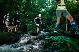 BIB: 
                            <button type="button" onclick="openModal(26773731)" class="btn btn-primary btn-sm float-right btn-popup" data-toggle="modal" data-target=".modal-high-quality">
                        <i class="fas fa-shopping-cart"></i> Add to Cart
                    </button>
                                            <button type="button" onclick="isThisMe(26773731, true)" class="btn btn-success btn-sm float-right btn-popup btn-isme hidden" data-toggle="tooltip" data-placement="bottom" title="นี่คือรูปของคุณใช่ไหม คลิกที่นี่เพื่อเอาเข้าอัลบั้ม">
                        <i class="fas fa-plus"></i> Add to album
                    </button>
                    <button type="button" onclick="isThisMe(26773731, false)" class="btn btn-warning btn-sm float-right btn-popup btn-isnotme hidden">
                        <i class="fas fa-ban"></i> Remove from album
                    </button>