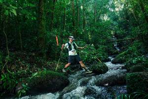 BIB: 
                            <button type="button" onclick="openModal(26780213)" class="btn btn-primary btn-sm float-right btn-popup" data-toggle="modal" data-target=".modal-high-quality">
                        <i class="fas fa-shopping-cart"></i> Add to Cart
                    </button>
                                            <button type="button" onclick="isThisMe(26780213, true)" class="btn btn-success btn-sm float-right btn-popup btn-isme hidden" data-toggle="tooltip" data-placement="bottom" title="นี่คือรูปของคุณใช่ไหม คลิกที่นี่เพื่อเอาเข้าอัลบั้ม">
                        <i class="fas fa-plus"></i> Add to album
                    </button>
                    <button type="button" onclick="isThisMe(26780213, false)" class="btn btn-warning btn-sm float-right btn-popup btn-isnotme hidden">
                        <i class="fas fa-ban"></i> Remove from album
                    </button>