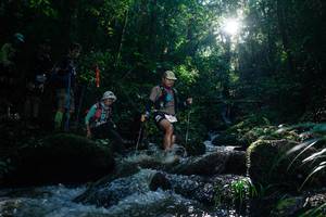 BIB: 
                            <button type="button" onclick="openModal(26776336)" class="btn btn-primary btn-sm float-right btn-popup" data-toggle="modal" data-target=".modal-high-quality">
                        <i class="fas fa-shopping-cart"></i> Add to Cart
                    </button>
                                            <button type="button" onclick="isThisMe(26776336, true)" class="btn btn-success btn-sm float-right btn-popup btn-isme hidden" data-toggle="tooltip" data-placement="bottom" title="นี่คือรูปของคุณใช่ไหม คลิกที่นี่เพื่อเอาเข้าอัลบั้ม">
                        <i class="fas fa-plus"></i> Add to album
                    </button>
                    <button type="button" onclick="isThisMe(26776336, false)" class="btn btn-warning btn-sm float-right btn-popup btn-isnotme hidden">
                        <i class="fas fa-ban"></i> Remove from album
                    </button>