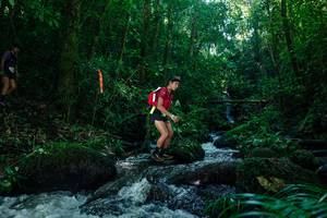 BIB: 
                            <button type="button" onclick="openModal(26774239)" class="btn btn-primary btn-sm float-right btn-popup" data-toggle="modal" data-target=".modal-high-quality">
                        <i class="fas fa-shopping-cart"></i> Add to Cart
                    </button>
                                            <button type="button" onclick="isThisMe(26774239, true)" class="btn btn-success btn-sm float-right btn-popup btn-isme hidden" data-toggle="tooltip" data-placement="bottom" title="นี่คือรูปของคุณใช่ไหม คลิกที่นี่เพื่อเอาเข้าอัลบั้ม">
                        <i class="fas fa-plus"></i> Add to album
                    </button>
                    <button type="button" onclick="isThisMe(26774239, false)" class="btn btn-warning btn-sm float-right btn-popup btn-isnotme hidden">
                        <i class="fas fa-ban"></i> Remove from album
                    </button>