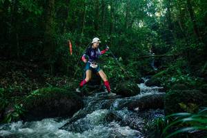 BIB: 
                            <button type="button" onclick="openModal(26774577)" class="btn btn-primary btn-sm float-right btn-popup" data-toggle="modal" data-target=".modal-high-quality">
                        <i class="fas fa-shopping-cart"></i> Add to Cart
                    </button>
                                            <button type="button" onclick="isThisMe(26774577, true)" class="btn btn-success btn-sm float-right btn-popup btn-isme hidden" data-toggle="tooltip" data-placement="bottom" title="นี่คือรูปของคุณใช่ไหม คลิกที่นี่เพื่อเอาเข้าอัลบั้ม">
                        <i class="fas fa-plus"></i> Add to album
                    </button>
                    <button type="button" onclick="isThisMe(26774577, false)" class="btn btn-warning btn-sm float-right btn-popup btn-isnotme hidden">
                        <i class="fas fa-ban"></i> Remove from album
                    </button>