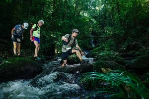 BIB: 
                            <button type="button" onclick="openModal(26773530)" class="btn btn-primary btn-sm float-right btn-popup" data-toggle="modal" data-target=".modal-high-quality">
                        <i class="fas fa-shopping-cart"></i> Add to Cart
                    </button>
                                            <button type="button" onclick="isThisMe(26773530, true)" class="btn btn-success btn-sm float-right btn-popup btn-isme hidden" data-toggle="tooltip" data-placement="bottom" title="นี่คือรูปของคุณใช่ไหม คลิกที่นี่เพื่อเอาเข้าอัลบั้ม">
                        <i class="fas fa-plus"></i> Add to album
                    </button>
                    <button type="button" onclick="isThisMe(26773530, false)" class="btn btn-warning btn-sm float-right btn-popup btn-isnotme hidden">
                        <i class="fas fa-ban"></i> Remove from album
                    </button>