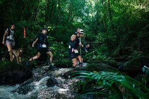 BIB: 
                            <button type="button" onclick="openModal(26773735)" class="btn btn-primary btn-sm float-right btn-popup" data-toggle="modal" data-target=".modal-high-quality">
                        <i class="fas fa-shopping-cart"></i> Add to Cart
                    </button>
                                            <button type="button" onclick="isThisMe(26773735, true)" class="btn btn-success btn-sm float-right btn-popup btn-isme hidden" data-toggle="tooltip" data-placement="bottom" title="นี่คือรูปของคุณใช่ไหม คลิกที่นี่เพื่อเอาเข้าอัลบั้ม">
                        <i class="fas fa-plus"></i> Add to album
                    </button>
                    <button type="button" onclick="isThisMe(26773735, false)" class="btn btn-warning btn-sm float-right btn-popup btn-isnotme hidden">
                        <i class="fas fa-ban"></i> Remove from album
                    </button>