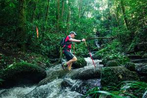 BIB: 
                            <button type="button" onclick="openModal(26780755)" class="btn btn-primary btn-sm float-right btn-popup" data-toggle="modal" data-target=".modal-high-quality">
                        <i class="fas fa-shopping-cart"></i> Add to Cart
                    </button>
                                            <button type="button" onclick="isThisMe(26780755, true)" class="btn btn-success btn-sm float-right btn-popup btn-isme hidden" data-toggle="tooltip" data-placement="bottom" title="นี่คือรูปของคุณใช่ไหม คลิกที่นี่เพื่อเอาเข้าอัลบั้ม">
                        <i class="fas fa-plus"></i> Add to album
                    </button>
                    <button type="button" onclick="isThisMe(26780755, false)" class="btn btn-warning btn-sm float-right btn-popup btn-isnotme hidden">
                        <i class="fas fa-ban"></i> Remove from album
                    </button>