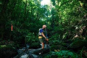 BIB: 
                            <button type="button" onclick="openModal(26699649)" class="btn btn-primary btn-sm float-right btn-popup" data-toggle="modal" data-target=".modal-high-quality">
                        <i class="fas fa-shopping-cart"></i> Add to Cart
                    </button>
                                            <button type="button" onclick="isThisMe(26699649, true)" class="btn btn-success btn-sm float-right btn-popup btn-isme hidden" data-toggle="tooltip" data-placement="bottom" title="นี่คือรูปของคุณใช่ไหม คลิกที่นี่เพื่อเอาเข้าอัลบั้ม">
                        <i class="fas fa-plus"></i> Add to album
                    </button>
                    <button type="button" onclick="isThisMe(26699649, false)" class="btn btn-warning btn-sm float-right btn-popup btn-isnotme hidden">
                        <i class="fas fa-ban"></i> Remove from album
                    </button>