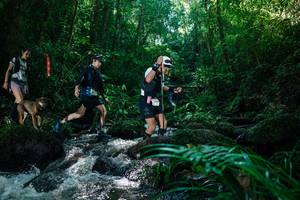 BIB: 
                            <button type="button" onclick="openModal(26773734)" class="btn btn-primary btn-sm float-right btn-popup" data-toggle="modal" data-target=".modal-high-quality">
                        <i class="fas fa-shopping-cart"></i> Add to Cart
                    </button>
                                            <button type="button" onclick="isThisMe(26773734, true)" class="btn btn-success btn-sm float-right btn-popup btn-isme hidden" data-toggle="tooltip" data-placement="bottom" title="นี่คือรูปของคุณใช่ไหม คลิกที่นี่เพื่อเอาเข้าอัลบั้ม">
                        <i class="fas fa-plus"></i> Add to album
                    </button>
                    <button type="button" onclick="isThisMe(26773734, false)" class="btn btn-warning btn-sm float-right btn-popup btn-isnotme hidden">
                        <i class="fas fa-ban"></i> Remove from album
                    </button>