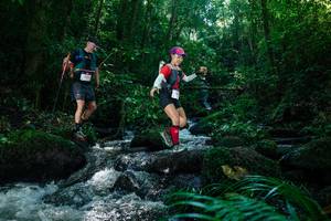 BIB: 
                            <button type="button" onclick="openModal(26773830)" class="btn btn-primary btn-sm float-right btn-popup" data-toggle="modal" data-target=".modal-high-quality">
                        <i class="fas fa-shopping-cart"></i> Add to Cart
                    </button>
                                            <button type="button" onclick="isThisMe(26773830, true)" class="btn btn-success btn-sm float-right btn-popup btn-isme hidden" data-toggle="tooltip" data-placement="bottom" title="นี่คือรูปของคุณใช่ไหม คลิกที่นี่เพื่อเอาเข้าอัลบั้ม">
                        <i class="fas fa-plus"></i> Add to album
                    </button>
                    <button type="button" onclick="isThisMe(26773830, false)" class="btn btn-warning btn-sm float-right btn-popup btn-isnotme hidden">
                        <i class="fas fa-ban"></i> Remove from album
                    </button>