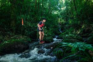 BIB: 
                            <button type="button" onclick="openModal(26772805)" class="btn btn-primary btn-sm float-right btn-popup" data-toggle="modal" data-target=".modal-high-quality">
                        <i class="fas fa-shopping-cart"></i> Add to Cart
                    </button>
                                            <button type="button" onclick="isThisMe(26772805, true)" class="btn btn-success btn-sm float-right btn-popup btn-isme hidden" data-toggle="tooltip" data-placement="bottom" title="นี่คือรูปของคุณใช่ไหม คลิกที่นี่เพื่อเอาเข้าอัลบั้ม">
                        <i class="fas fa-plus"></i> Add to album
                    </button>
                    <button type="button" onclick="isThisMe(26772805, false)" class="btn btn-warning btn-sm float-right btn-popup btn-isnotme hidden">
                        <i class="fas fa-ban"></i> Remove from album
                    </button>