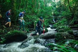 BIB: 
                            <button type="button" onclick="openModal(26780679)" class="btn btn-primary btn-sm float-right btn-popup" data-toggle="modal" data-target=".modal-high-quality">
                        <i class="fas fa-shopping-cart"></i> Add to Cart
                    </button>
                                            <button type="button" onclick="isThisMe(26780679, true)" class="btn btn-success btn-sm float-right btn-popup btn-isme hidden" data-toggle="tooltip" data-placement="bottom" title="นี่คือรูปของคุณใช่ไหม คลิกที่นี่เพื่อเอาเข้าอัลบั้ม">
                        <i class="fas fa-plus"></i> Add to album
                    </button>
                    <button type="button" onclick="isThisMe(26780679, false)" class="btn btn-warning btn-sm float-right btn-popup btn-isnotme hidden">
                        <i class="fas fa-ban"></i> Remove from album
                    </button>