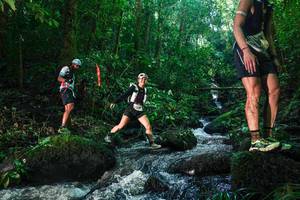 BIB: 
                            <button type="button" onclick="openModal(26780068)" class="btn btn-primary btn-sm float-right btn-popup" data-toggle="modal" data-target=".modal-high-quality">
                        <i class="fas fa-shopping-cart"></i> Add to Cart
                    </button>
                                            <button type="button" onclick="isThisMe(26780068, true)" class="btn btn-success btn-sm float-right btn-popup btn-isme hidden" data-toggle="tooltip" data-placement="bottom" title="นี่คือรูปของคุณใช่ไหม คลิกที่นี่เพื่อเอาเข้าอัลบั้ม">
                        <i class="fas fa-plus"></i> Add to album
                    </button>
                    <button type="button" onclick="isThisMe(26780068, false)" class="btn btn-warning btn-sm float-right btn-popup btn-isnotme hidden">
                        <i class="fas fa-ban"></i> Remove from album
                    </button>