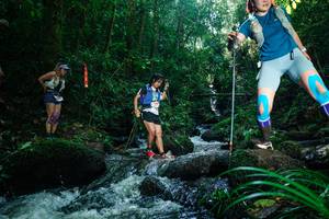 BIB: 
                            <button type="button" onclick="openModal(26781585)" class="btn btn-primary btn-sm float-right btn-popup" data-toggle="modal" data-target=".modal-high-quality">
                        <i class="fas fa-shopping-cart"></i> Add to Cart
                    </button>
                                            <button type="button" onclick="isThisMe(26781585, true)" class="btn btn-success btn-sm float-right btn-popup btn-isme hidden" data-toggle="tooltip" data-placement="bottom" title="นี่คือรูปของคุณใช่ไหม คลิกที่นี่เพื่อเอาเข้าอัลบั้ม">
                        <i class="fas fa-plus"></i> Add to album
                    </button>
                    <button type="button" onclick="isThisMe(26781585, false)" class="btn btn-warning btn-sm float-right btn-popup btn-isnotme hidden">
                        <i class="fas fa-ban"></i> Remove from album
                    </button>