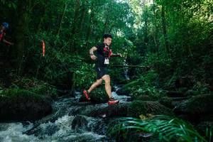 BIB: 
                            <button type="button" onclick="openModal(26774776)" class="btn btn-primary btn-sm float-right btn-popup" data-toggle="modal" data-target=".modal-high-quality">
                        <i class="fas fa-shopping-cart"></i> Add to Cart
                    </button>
                                            <button type="button" onclick="isThisMe(26774776, true)" class="btn btn-success btn-sm float-right btn-popup btn-isme hidden" data-toggle="tooltip" data-placement="bottom" title="นี่คือรูปของคุณใช่ไหม คลิกที่นี่เพื่อเอาเข้าอัลบั้ม">
                        <i class="fas fa-plus"></i> Add to album
                    </button>
                    <button type="button" onclick="isThisMe(26774776, false)" class="btn btn-warning btn-sm float-right btn-popup btn-isnotme hidden">
                        <i class="fas fa-ban"></i> Remove from album
                    </button>