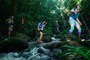 BIB: 
                            <button type="button" onclick="openModal(26781584)" class="btn btn-primary btn-sm float-right btn-popup" data-toggle="modal" data-target=".modal-high-quality">
                        <i class="fas fa-shopping-cart"></i> Add to Cart
                    </button>
                                            <button type="button" onclick="isThisMe(26781584, true)" class="btn btn-success btn-sm float-right btn-popup btn-isme hidden" data-toggle="tooltip" data-placement="bottom" title="นี่คือรูปของคุณใช่ไหม คลิกที่นี่เพื่อเอาเข้าอัลบั้ม">
                        <i class="fas fa-plus"></i> Add to album
                    </button>
                    <button type="button" onclick="isThisMe(26781584, false)" class="btn btn-warning btn-sm float-right btn-popup btn-isnotme hidden">
                        <i class="fas fa-ban"></i> Remove from album
                    </button>