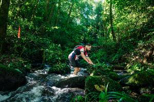 BIB: 
                            <button type="button" onclick="openModal(26696446)" class="btn btn-primary btn-sm float-right btn-popup" data-toggle="modal" data-target=".modal-high-quality">
                        <i class="fas fa-shopping-cart"></i> Add to Cart
                    </button>
                                            <button type="button" onclick="isThisMe(26696446, true)" class="btn btn-success btn-sm float-right btn-popup btn-isme hidden" data-toggle="tooltip" data-placement="bottom" title="นี่คือรูปของคุณใช่ไหม คลิกที่นี่เพื่อเอาเข้าอัลบั้ม">
                        <i class="fas fa-plus"></i> Add to album
                    </button>
                    <button type="button" onclick="isThisMe(26696446, false)" class="btn btn-warning btn-sm float-right btn-popup btn-isnotme hidden">
                        <i class="fas fa-ban"></i> Remove from album
                    </button>