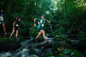 BIB: 
                            <button type="button" onclick="openModal(26774925)" class="btn btn-primary btn-sm float-right btn-popup" data-toggle="modal" data-target=".modal-high-quality">
                        <i class="fas fa-shopping-cart"></i> Add to Cart
                    </button>
                                            <button type="button" onclick="isThisMe(26774925, true)" class="btn btn-success btn-sm float-right btn-popup btn-isme hidden" data-toggle="tooltip" data-placement="bottom" title="นี่คือรูปของคุณใช่ไหม คลิกที่นี่เพื่อเอาเข้าอัลบั้ม">
                        <i class="fas fa-plus"></i> Add to album
                    </button>
                    <button type="button" onclick="isThisMe(26774925, false)" class="btn btn-warning btn-sm float-right btn-popup btn-isnotme hidden">
                        <i class="fas fa-ban"></i> Remove from album
                    </button>