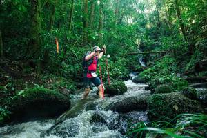 BIB: 
                            <button type="button" onclick="openModal(26780752)" class="btn btn-primary btn-sm float-right btn-popup" data-toggle="modal" data-target=".modal-high-quality">
                        <i class="fas fa-shopping-cart"></i> Add to Cart
                    </button>
                                            <button type="button" onclick="isThisMe(26780752, true)" class="btn btn-success btn-sm float-right btn-popup btn-isme hidden" data-toggle="tooltip" data-placement="bottom" title="นี่คือรูปของคุณใช่ไหม คลิกที่นี่เพื่อเอาเข้าอัลบั้ม">
                        <i class="fas fa-plus"></i> Add to album
                    </button>
                    <button type="button" onclick="isThisMe(26780752, false)" class="btn btn-warning btn-sm float-right btn-popup btn-isnotme hidden">
                        <i class="fas fa-ban"></i> Remove from album
                    </button>