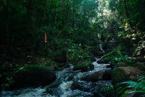 BIB: 
                            <button type="button" onclick="openModal(26775562)" class="btn btn-primary btn-sm float-right btn-popup" data-toggle="modal" data-target=".modal-high-quality">
                        <i class="fas fa-shopping-cart"></i> Add to Cart
                    </button>
                                            <button type="button" onclick="isThisMe(26775562, true)" class="btn btn-success btn-sm float-right btn-popup btn-isme hidden" data-toggle="tooltip" data-placement="bottom" title="นี่คือรูปของคุณใช่ไหม คลิกที่นี่เพื่อเอาเข้าอัลบั้ม">
                        <i class="fas fa-plus"></i> Add to album
                    </button>
                    <button type="button" onclick="isThisMe(26775562, false)" class="btn btn-warning btn-sm float-right btn-popup btn-isnotme hidden">
                        <i class="fas fa-ban"></i> Remove from album
                    </button>