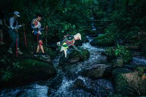 BIB: 
                            <button type="button" onclick="openModal(26779970)" class="btn btn-primary btn-sm float-right btn-popup" data-toggle="modal" data-target=".modal-high-quality">
                        <i class="fas fa-shopping-cart"></i> Add to Cart
                    </button>
                                            <button type="button" onclick="isThisMe(26779970, true)" class="btn btn-success btn-sm float-right btn-popup btn-isme hidden" data-toggle="tooltip" data-placement="bottom" title="นี่คือรูปของคุณใช่ไหม คลิกที่นี่เพื่อเอาเข้าอัลบั้ม">
                        <i class="fas fa-plus"></i> Add to album
                    </button>
                    <button type="button" onclick="isThisMe(26779970, false)" class="btn btn-warning btn-sm float-right btn-popup btn-isnotme hidden">
                        <i class="fas fa-ban"></i> Remove from album
                    </button>