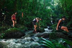 BIB: 
                            <button type="button" onclick="openModal(26780094)" class="btn btn-primary btn-sm float-right btn-popup" data-toggle="modal" data-target=".modal-high-quality">
                        <i class="fas fa-shopping-cart"></i> Add to Cart
                    </button>
                                            <button type="button" onclick="isThisMe(26780094, true)" class="btn btn-success btn-sm float-right btn-popup btn-isme hidden" data-toggle="tooltip" data-placement="bottom" title="นี่คือรูปของคุณใช่ไหม คลิกที่นี่เพื่อเอาเข้าอัลบั้ม">
                        <i class="fas fa-plus"></i> Add to album
                    </button>
                    <button type="button" onclick="isThisMe(26780094, false)" class="btn btn-warning btn-sm float-right btn-popup btn-isnotme hidden">
                        <i class="fas fa-ban"></i> Remove from album
                    </button>