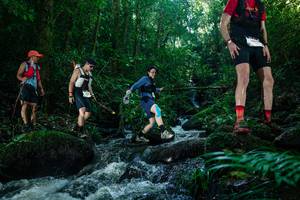 BIB: 
                            <button type="button" onclick="openModal(26774452)" class="btn btn-primary btn-sm float-right btn-popup" data-toggle="modal" data-target=".modal-high-quality">
                        <i class="fas fa-shopping-cart"></i> Add to Cart
                    </button>
                                            <button type="button" onclick="isThisMe(26774452, true)" class="btn btn-success btn-sm float-right btn-popup btn-isme hidden" data-toggle="tooltip" data-placement="bottom" title="นี่คือรูปของคุณใช่ไหม คลิกที่นี่เพื่อเอาเข้าอัลบั้ม">
                        <i class="fas fa-plus"></i> Add to album
                    </button>
                    <button type="button" onclick="isThisMe(26774452, false)" class="btn btn-warning btn-sm float-right btn-popup btn-isnotme hidden">
                        <i class="fas fa-ban"></i> Remove from album
                    </button>