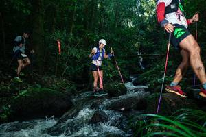 BIB: 
                            <button type="button" onclick="openModal(26780406)" class="btn btn-primary btn-sm float-right btn-popup" data-toggle="modal" data-target=".modal-high-quality">
                        <i class="fas fa-shopping-cart"></i> Add to Cart
                    </button>
                                            <button type="button" onclick="isThisMe(26780406, true)" class="btn btn-success btn-sm float-right btn-popup btn-isme hidden" data-toggle="tooltip" data-placement="bottom" title="นี่คือรูปของคุณใช่ไหม คลิกที่นี่เพื่อเอาเข้าอัลบั้ม">
                        <i class="fas fa-plus"></i> Add to album
                    </button>
                    <button type="button" onclick="isThisMe(26780406, false)" class="btn btn-warning btn-sm float-right btn-popup btn-isnotme hidden">
                        <i class="fas fa-ban"></i> Remove from album
                    </button>