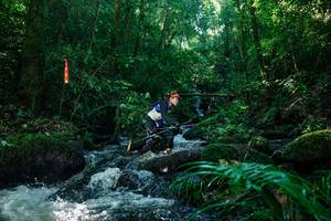 BIB: 
                            <button type="button" onclick="openModal(26756203)" class="btn btn-primary btn-sm float-right btn-popup" data-toggle="modal" data-target=".modal-high-quality">
                        <i class="fas fa-shopping-cart"></i> Add to Cart
                    </button>
                                            <button type="button" onclick="isThisMe(26756203, true)" class="btn btn-success btn-sm float-right btn-popup btn-isme hidden" data-toggle="tooltip" data-placement="bottom" title="นี่คือรูปของคุณใช่ไหม คลิกที่นี่เพื่อเอาเข้าอัลบั้ม">
                        <i class="fas fa-plus"></i> Add to album
                    </button>
                    <button type="button" onclick="isThisMe(26756203, false)" class="btn btn-warning btn-sm float-right btn-popup btn-isnotme hidden">
                        <i class="fas fa-ban"></i> Remove from album
                    </button>