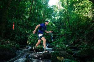 BIB: 
                            <button type="button" onclick="openModal(26773563)" class="btn btn-primary btn-sm float-right btn-popup" data-toggle="modal" data-target=".modal-high-quality">
                        <i class="fas fa-shopping-cart"></i> Add to Cart
                    </button>
                                            <button type="button" onclick="isThisMe(26773563, true)" class="btn btn-success btn-sm float-right btn-popup btn-isme hidden" data-toggle="tooltip" data-placement="bottom" title="นี่คือรูปของคุณใช่ไหม คลิกที่นี่เพื่อเอาเข้าอัลบั้ม">
                        <i class="fas fa-plus"></i> Add to album
                    </button>
                    <button type="button" onclick="isThisMe(26773563, false)" class="btn btn-warning btn-sm float-right btn-popup btn-isnotme hidden">
                        <i class="fas fa-ban"></i> Remove from album
                    </button>