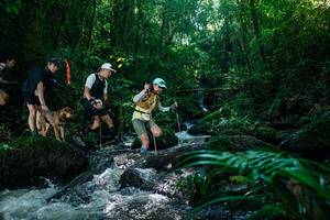 BIB: 
                            <button type="button" onclick="openModal(26773726)" class="btn btn-primary btn-sm float-right btn-popup" data-toggle="modal" data-target=".modal-high-quality">
                        <i class="fas fa-shopping-cart"></i> Add to Cart
                    </button>
                                            <button type="button" onclick="isThisMe(26773726, true)" class="btn btn-success btn-sm float-right btn-popup btn-isme hidden" data-toggle="tooltip" data-placement="bottom" title="นี่คือรูปของคุณใช่ไหม คลิกที่นี่เพื่อเอาเข้าอัลบั้ม">
                        <i class="fas fa-plus"></i> Add to album
                    </button>
                    <button type="button" onclick="isThisMe(26773726, false)" class="btn btn-warning btn-sm float-right btn-popup btn-isnotme hidden">
                        <i class="fas fa-ban"></i> Remove from album
                    </button>