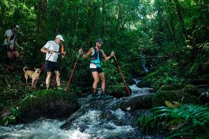 BIB: 
                            <button type="button" onclick="openModal(26756124)" class="btn btn-primary btn-sm float-right btn-popup" data-toggle="modal" data-target=".modal-high-quality">
                        <i class="fas fa-shopping-cart"></i> Add to Cart
                    </button>
                                            <button type="button" onclick="isThisMe(26756124, true)" class="btn btn-success btn-sm float-right btn-popup btn-isme hidden" data-toggle="tooltip" data-placement="bottom" title="นี่คือรูปของคุณใช่ไหม คลิกที่นี่เพื่อเอาเข้าอัลบั้ม">
                        <i class="fas fa-plus"></i> Add to album
                    </button>
                    <button type="button" onclick="isThisMe(26756124, false)" class="btn btn-warning btn-sm float-right btn-popup btn-isnotme hidden">
                        <i class="fas fa-ban"></i> Remove from album
                    </button>