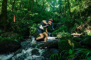 BIB: 
                            <button type="button" onclick="openModal(26695523)" class="btn btn-primary btn-sm float-right btn-popup" data-toggle="modal" data-target=".modal-high-quality">
                        <i class="fas fa-shopping-cart"></i> Add to Cart
                    </button>
                                            <button type="button" onclick="isThisMe(26695523, true)" class="btn btn-success btn-sm float-right btn-popup btn-isme hidden" data-toggle="tooltip" data-placement="bottom" title="นี่คือรูปของคุณใช่ไหม คลิกที่นี่เพื่อเอาเข้าอัลบั้ม">
                        <i class="fas fa-plus"></i> Add to album
                    </button>
                    <button type="button" onclick="isThisMe(26695523, false)" class="btn btn-warning btn-sm float-right btn-popup btn-isnotme hidden">
                        <i class="fas fa-ban"></i> Remove from album
                    </button>