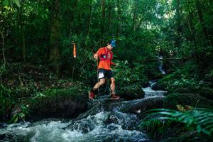 BIB: 
                            <button type="button" onclick="openModal(26773120)" class="btn btn-primary btn-sm float-right btn-popup" data-toggle="modal" data-target=".modal-high-quality">
                        <i class="fas fa-shopping-cart"></i> Add to Cart
                    </button>
                                            <button type="button" onclick="isThisMe(26773120, true)" class="btn btn-success btn-sm float-right btn-popup btn-isme hidden" data-toggle="tooltip" data-placement="bottom" title="นี่คือรูปของคุณใช่ไหม คลิกที่นี่เพื่อเอาเข้าอัลบั้ม">
                        <i class="fas fa-plus"></i> Add to album
                    </button>
                    <button type="button" onclick="isThisMe(26773120, false)" class="btn btn-warning btn-sm float-right btn-popup btn-isnotme hidden">
                        <i class="fas fa-ban"></i> Remove from album
                    </button>