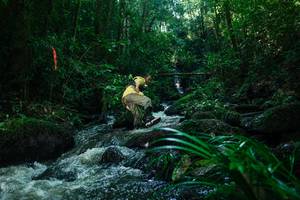 BIB: 
                            <button type="button" onclick="openModal(26780621)" class="btn btn-primary btn-sm float-right btn-popup" data-toggle="modal" data-target=".modal-high-quality">
                        <i class="fas fa-shopping-cart"></i> Add to Cart
                    </button>
                                            <button type="button" onclick="isThisMe(26780621, true)" class="btn btn-success btn-sm float-right btn-popup btn-isme hidden" data-toggle="tooltip" data-placement="bottom" title="นี่คือรูปของคุณใช่ไหม คลิกที่นี่เพื่อเอาเข้าอัลบั้ม">
                        <i class="fas fa-plus"></i> Add to album
                    </button>
                    <button type="button" onclick="isThisMe(26780621, false)" class="btn btn-warning btn-sm float-right btn-popup btn-isnotme hidden">
                        <i class="fas fa-ban"></i> Remove from album
                    </button>