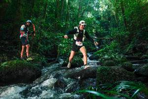 BIB: 
                            <button type="button" onclick="openModal(26780073)" class="btn btn-primary btn-sm float-right btn-popup" data-toggle="modal" data-target=".modal-high-quality">
                        <i class="fas fa-shopping-cart"></i> Add to Cart
                    </button>
                                            <button type="button" onclick="isThisMe(26780073, true)" class="btn btn-success btn-sm float-right btn-popup btn-isme hidden" data-toggle="tooltip" data-placement="bottom" title="นี่คือรูปของคุณใช่ไหม คลิกที่นี่เพื่อเอาเข้าอัลบั้ม">
                        <i class="fas fa-plus"></i> Add to album
                    </button>
                    <button type="button" onclick="isThisMe(26780073, false)" class="btn btn-warning btn-sm float-right btn-popup btn-isnotme hidden">
                        <i class="fas fa-ban"></i> Remove from album
                    </button>