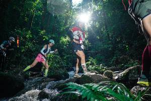 BIB: 
                            <button type="button" onclick="openModal(26776202)" class="btn btn-primary btn-sm float-right btn-popup" data-toggle="modal" data-target=".modal-high-quality">
                        <i class="fas fa-shopping-cart"></i> Add to Cart
                    </button>
                                            <button type="button" onclick="isThisMe(26776202, true)" class="btn btn-success btn-sm float-right btn-popup btn-isme hidden" data-toggle="tooltip" data-placement="bottom" title="นี่คือรูปของคุณใช่ไหม คลิกที่นี่เพื่อเอาเข้าอัลบั้ม">
                        <i class="fas fa-plus"></i> Add to album
                    </button>
                    <button type="button" onclick="isThisMe(26776202, false)" class="btn btn-warning btn-sm float-right btn-popup btn-isnotme hidden">
                        <i class="fas fa-ban"></i> Remove from album
                    </button>