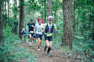 BIB: 
                            <button type="button" onclick="openModal(26562567)" class="btn btn-primary btn-sm float-right btn-popup" data-toggle="modal" data-target=".modal-high-quality">
                        <i class="fas fa-shopping-cart"></i> Add to Cart
                    </button>
                                            <button type="button" onclick="isThisMe(26562567, true)" class="btn btn-success btn-sm float-right btn-popup btn-isme hidden" data-toggle="tooltip" data-placement="bottom" title="นี่คือรูปของคุณใช่ไหม คลิกที่นี่เพื่อเอาเข้าอัลบั้ม">
                        <i class="fas fa-plus"></i> Add to album
                    </button>
                    <button type="button" onclick="isThisMe(26562567, false)" class="btn btn-warning btn-sm float-right btn-popup btn-isnotme hidden">
                        <i class="fas fa-ban"></i> Remove from album
                    </button>