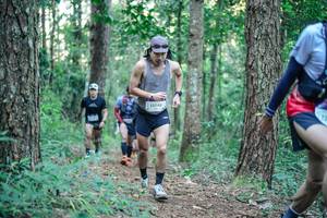 BIB: 
                            <button type="button" onclick="openModal(26562474)" class="btn btn-primary btn-sm float-right btn-popup" data-toggle="modal" data-target=".modal-high-quality">
                        <i class="fas fa-shopping-cart"></i> Add to Cart
                    </button>
                                            <button type="button" onclick="isThisMe(26562474, true)" class="btn btn-success btn-sm float-right btn-popup btn-isme hidden" data-toggle="tooltip" data-placement="bottom" title="นี่คือรูปของคุณใช่ไหม คลิกที่นี่เพื่อเอาเข้าอัลบั้ม">
                        <i class="fas fa-plus"></i> Add to album
                    </button>
                    <button type="button" onclick="isThisMe(26562474, false)" class="btn btn-warning btn-sm float-right btn-popup btn-isnotme hidden">
                        <i class="fas fa-ban"></i> Remove from album
                    </button>