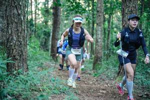 BIB: 
                            <button type="button" onclick="openModal(26562094)" class="btn btn-primary btn-sm float-right btn-popup" data-toggle="modal" data-target=".modal-high-quality">
                        <i class="fas fa-shopping-cart"></i> Add to Cart
                    </button>
                                            <button type="button" onclick="isThisMe(26562094, true)" class="btn btn-success btn-sm float-right btn-popup btn-isme hidden" data-toggle="tooltip" data-placement="bottom" title="นี่คือรูปของคุณใช่ไหม คลิกที่นี่เพื่อเอาเข้าอัลบั้ม">
                        <i class="fas fa-plus"></i> Add to album
                    </button>
                    <button type="button" onclick="isThisMe(26562094, false)" class="btn btn-warning btn-sm float-right btn-popup btn-isnotme hidden">
                        <i class="fas fa-ban"></i> Remove from album
                    </button>