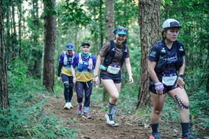 BIB: 
                            <button type="button" onclick="openModal(26563829)" class="btn btn-primary btn-sm float-right btn-popup" data-toggle="modal" data-target=".modal-high-quality">
                        <i class="fas fa-shopping-cart"></i> Add to Cart
                    </button>
                                            <button type="button" onclick="isThisMe(26563829, true)" class="btn btn-success btn-sm float-right btn-popup btn-isme hidden" data-toggle="tooltip" data-placement="bottom" title="นี่คือรูปของคุณใช่ไหม คลิกที่นี่เพื่อเอาเข้าอัลบั้ม">
                        <i class="fas fa-plus"></i> Add to album
                    </button>
                    <button type="button" onclick="isThisMe(26563829, false)" class="btn btn-warning btn-sm float-right btn-popup btn-isnotme hidden">
                        <i class="fas fa-ban"></i> Remove from album
                    </button>