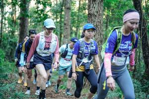 BIB: 
                            <button type="button" onclick="openModal(26567784)" class="btn btn-primary btn-sm float-right btn-popup" data-toggle="modal" data-target=".modal-high-quality">
                        <i class="fas fa-shopping-cart"></i> Add to Cart
                    </button>
                                            <button type="button" onclick="isThisMe(26567784, true)" class="btn btn-success btn-sm float-right btn-popup btn-isme hidden" data-toggle="tooltip" data-placement="bottom" title="นี่คือรูปของคุณใช่ไหม คลิกที่นี่เพื่อเอาเข้าอัลบั้ม">
                        <i class="fas fa-plus"></i> Add to album
                    </button>
                    <button type="button" onclick="isThisMe(26567784, false)" class="btn btn-warning btn-sm float-right btn-popup btn-isnotme hidden">
                        <i class="fas fa-ban"></i> Remove from album
                    </button>