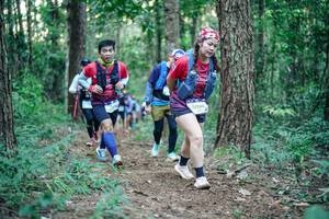 BIB: 
                            <button type="button" onclick="openModal(26563905)" class="btn btn-primary btn-sm float-right btn-popup" data-toggle="modal" data-target=".modal-high-quality">
                        <i class="fas fa-shopping-cart"></i> Add to Cart
                    </button>
                                            <button type="button" onclick="isThisMe(26563905, true)" class="btn btn-success btn-sm float-right btn-popup btn-isme hidden" data-toggle="tooltip" data-placement="bottom" title="นี่คือรูปของคุณใช่ไหม คลิกที่นี่เพื่อเอาเข้าอัลบั้ม">
                        <i class="fas fa-plus"></i> Add to album
                    </button>
                    <button type="button" onclick="isThisMe(26563905, false)" class="btn btn-warning btn-sm float-right btn-popup btn-isnotme hidden">
                        <i class="fas fa-ban"></i> Remove from album
                    </button>