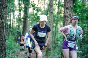 BIB: 
                            <button type="button" onclick="openModal(26563194)" class="btn btn-primary btn-sm float-right btn-popup" data-toggle="modal" data-target=".modal-high-quality">
                        <i class="fas fa-shopping-cart"></i> Add to Cart
                    </button>
                                            <button type="button" onclick="isThisMe(26563194, true)" class="btn btn-success btn-sm float-right btn-popup btn-isme hidden" data-toggle="tooltip" data-placement="bottom" title="นี่คือรูปของคุณใช่ไหม คลิกที่นี่เพื่อเอาเข้าอัลบั้ม">
                        <i class="fas fa-plus"></i> Add to album
                    </button>
                    <button type="button" onclick="isThisMe(26563194, false)" class="btn btn-warning btn-sm float-right btn-popup btn-isnotme hidden">
                        <i class="fas fa-ban"></i> Remove from album
                    </button>