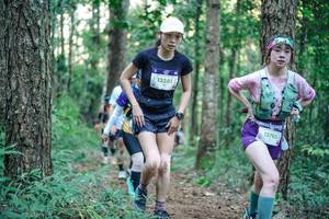 BIB: 
                            <button type="button" onclick="openModal(26563196)" class="btn btn-primary btn-sm float-right btn-popup" data-toggle="modal" data-target=".modal-high-quality">
                        <i class="fas fa-shopping-cart"></i> Add to Cart
                    </button>
                                            <button type="button" onclick="isThisMe(26563196, true)" class="btn btn-success btn-sm float-right btn-popup btn-isme hidden" data-toggle="tooltip" data-placement="bottom" title="นี่คือรูปของคุณใช่ไหม คลิกที่นี่เพื่อเอาเข้าอัลบั้ม">
                        <i class="fas fa-plus"></i> Add to album
                    </button>
                    <button type="button" onclick="isThisMe(26563196, false)" class="btn btn-warning btn-sm float-right btn-popup btn-isnotme hidden">
                        <i class="fas fa-ban"></i> Remove from album
                    </button>