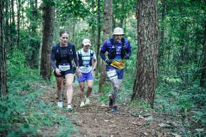 BIB: 
                            <button type="button" onclick="openModal(26562240)" class="btn btn-primary btn-sm float-right btn-popup" data-toggle="modal" data-target=".modal-high-quality">
                        <i class="fas fa-shopping-cart"></i> Add to Cart
                    </button>
                                            <button type="button" onclick="isThisMe(26562240, true)" class="btn btn-success btn-sm float-right btn-popup btn-isme hidden" data-toggle="tooltip" data-placement="bottom" title="นี่คือรูปของคุณใช่ไหม คลิกที่นี่เพื่อเอาเข้าอัลบั้ม">
                        <i class="fas fa-plus"></i> Add to album
                    </button>
                    <button type="button" onclick="isThisMe(26562240, false)" class="btn btn-warning btn-sm float-right btn-popup btn-isnotme hidden">
                        <i class="fas fa-ban"></i> Remove from album
                    </button>