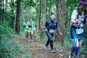 BIB: 
                            <button type="button" onclick="openModal(26563751)" class="btn btn-primary btn-sm float-right btn-popup" data-toggle="modal" data-target=".modal-high-quality">
                        <i class="fas fa-shopping-cart"></i> Add to Cart
                    </button>
                                            <button type="button" onclick="isThisMe(26563751, true)" class="btn btn-success btn-sm float-right btn-popup btn-isme hidden" data-toggle="tooltip" data-placement="bottom" title="นี่คือรูปของคุณใช่ไหม คลิกที่นี่เพื่อเอาเข้าอัลบั้ม">
                        <i class="fas fa-plus"></i> Add to album
                    </button>
                    <button type="button" onclick="isThisMe(26563751, false)" class="btn btn-warning btn-sm float-right btn-popup btn-isnotme hidden">
                        <i class="fas fa-ban"></i> Remove from album
                    </button>