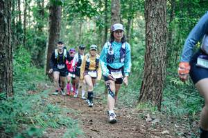 BIB: 
                            <button type="button" onclick="openModal(26568243)" class="btn btn-primary btn-sm float-right btn-popup" data-toggle="modal" data-target=".modal-high-quality">
                        <i class="fas fa-shopping-cart"></i> Add to Cart
                    </button>
                                            <button type="button" onclick="isThisMe(26568243, true)" class="btn btn-success btn-sm float-right btn-popup btn-isme hidden" data-toggle="tooltip" data-placement="bottom" title="นี่คือรูปของคุณใช่ไหม คลิกที่นี่เพื่อเอาเข้าอัลบั้ม">
                        <i class="fas fa-plus"></i> Add to album
                    </button>
                    <button type="button" onclick="isThisMe(26568243, false)" class="btn btn-warning btn-sm float-right btn-popup btn-isnotme hidden">
                        <i class="fas fa-ban"></i> Remove from album
                    </button>