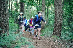 BIB: 
                            <button type="button" onclick="openModal(26568079)" class="btn btn-primary btn-sm float-right btn-popup" data-toggle="modal" data-target=".modal-high-quality">
                        <i class="fas fa-shopping-cart"></i> Add to Cart
                    </button>
                                            <button type="button" onclick="isThisMe(26568079, true)" class="btn btn-success btn-sm float-right btn-popup btn-isme hidden" data-toggle="tooltip" data-placement="bottom" title="นี่คือรูปของคุณใช่ไหม คลิกที่นี่เพื่อเอาเข้าอัลบั้ม">
                        <i class="fas fa-plus"></i> Add to album
                    </button>
                    <button type="button" onclick="isThisMe(26568079, false)" class="btn btn-warning btn-sm float-right btn-popup btn-isnotme hidden">
                        <i class="fas fa-ban"></i> Remove from album
                    </button>